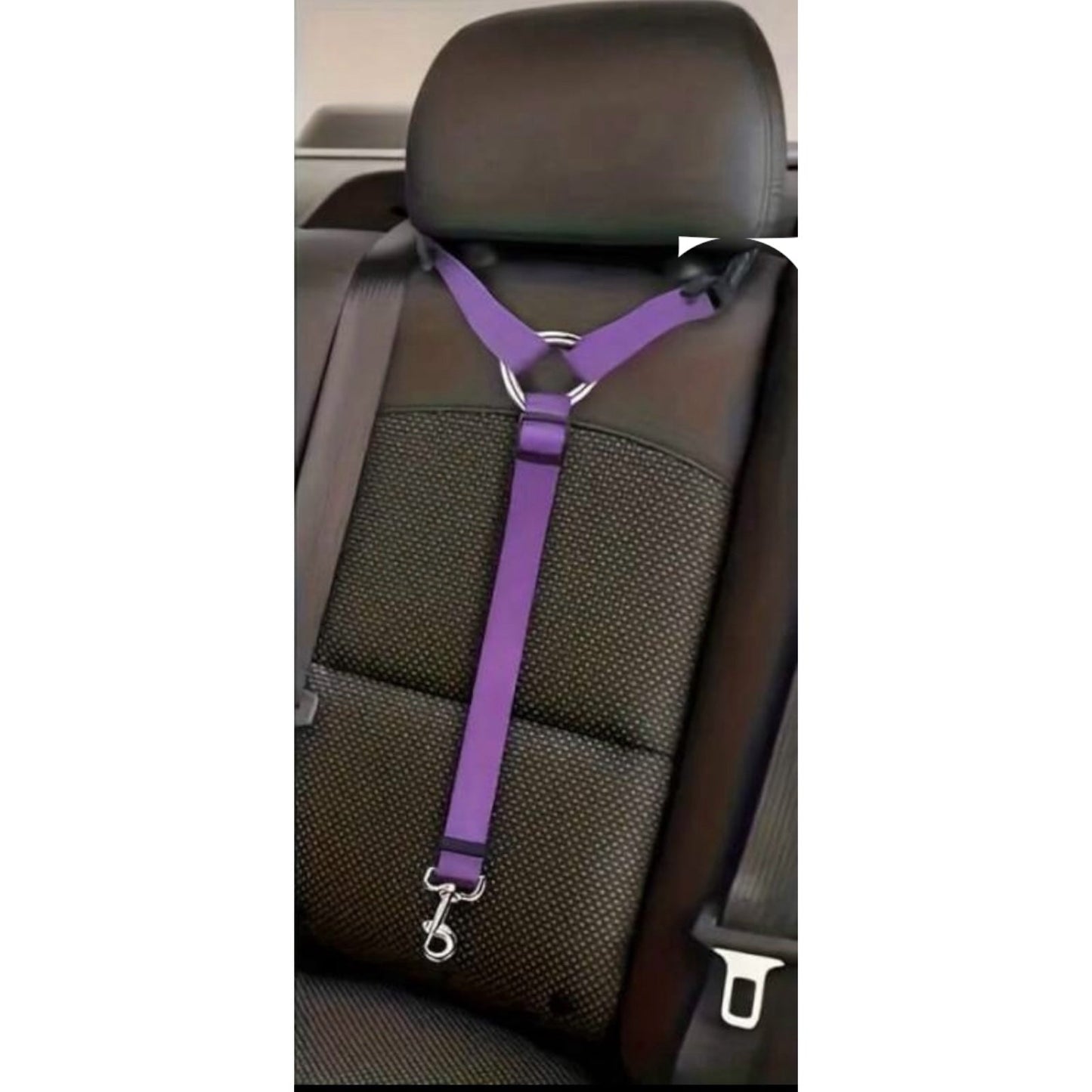 Cintura di sicurezza per cani - Dog boutique | Abbigliamento e accessori per cani