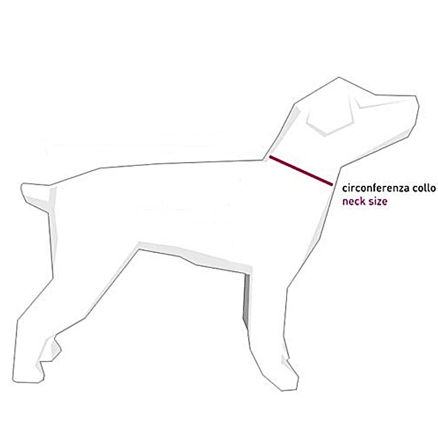 Papillon per cani - Dog boutique | Abbigliamento e accessori per cani