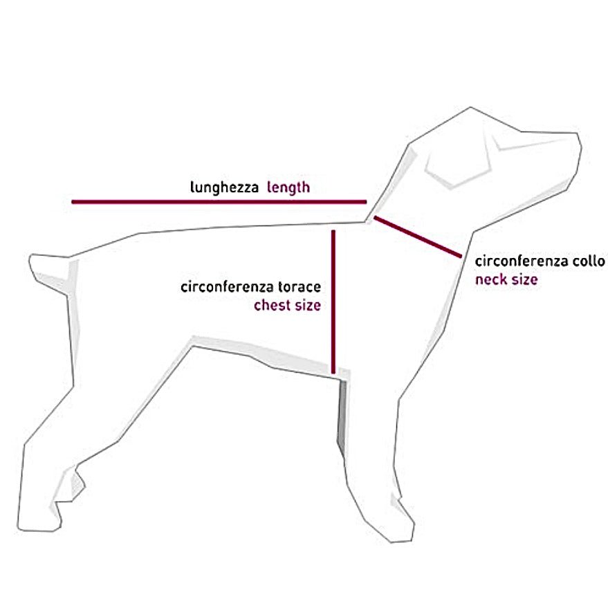 Pettorina più Guinzaglio per cani - Dog boutique | Abbigliamento e accessori per cani
