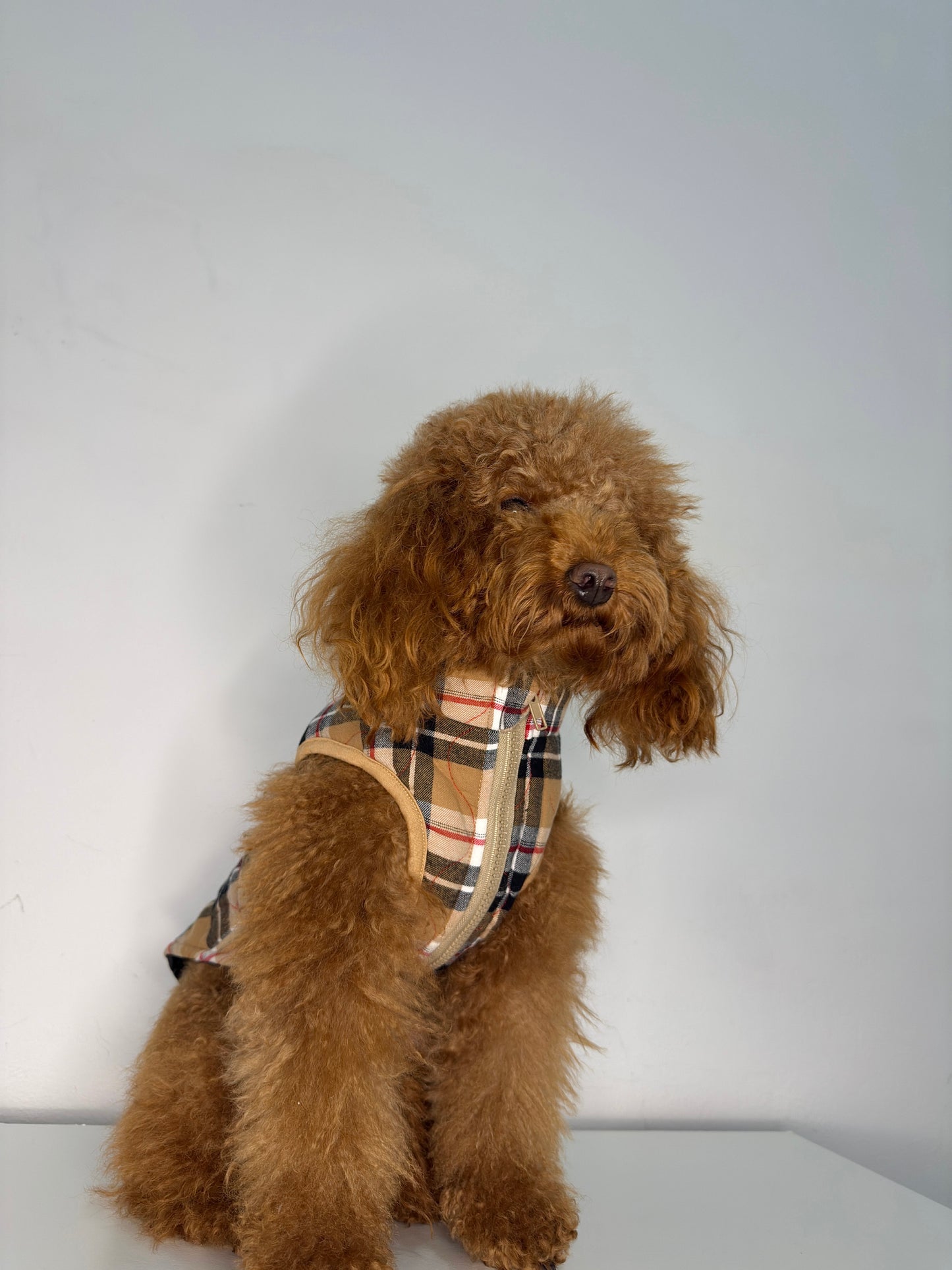 Giacca a quadretti per cani