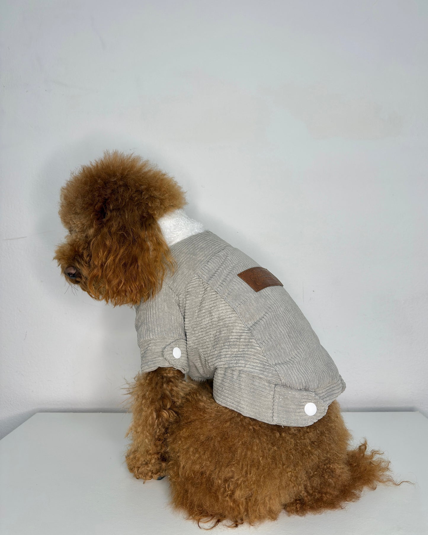 Giacca con pelliccia per cani