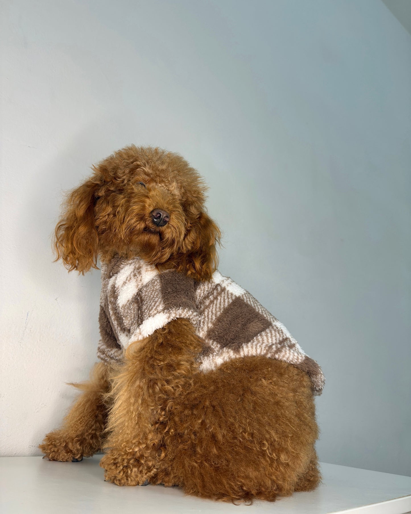 Felpa a quadretti in pile per cani