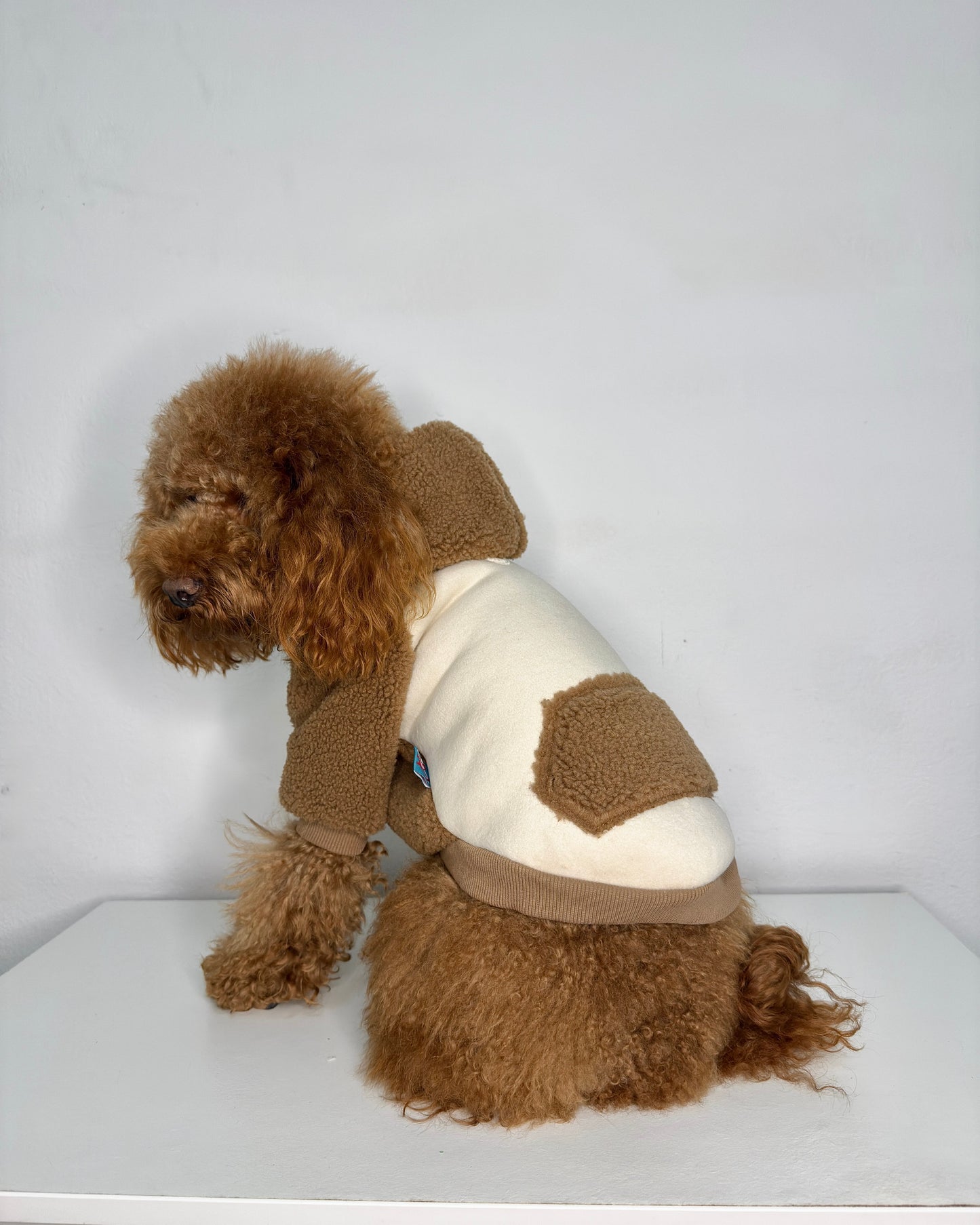 Felpa in pile per cani