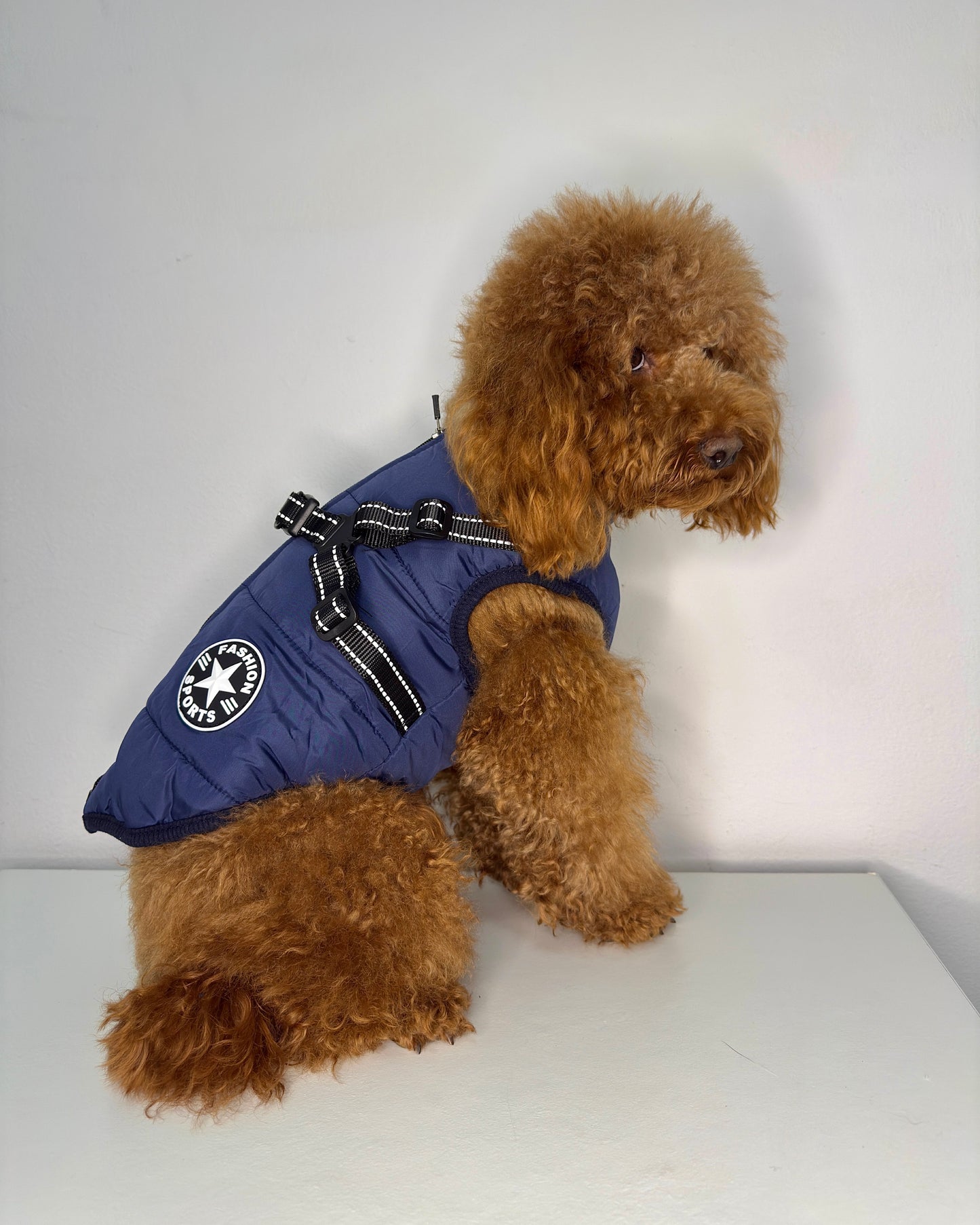 Giubbotto impermeabile per cani